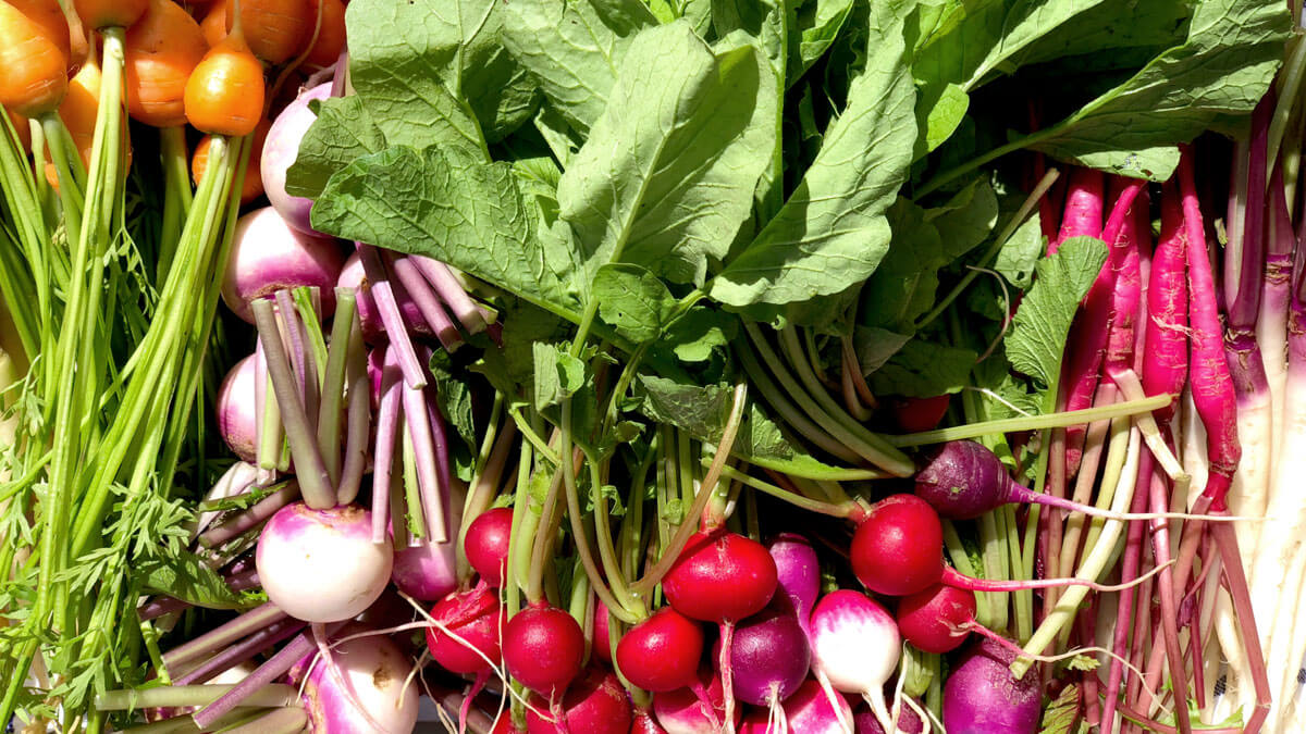 ブべット公式サイト - BUVETTE TOKYO